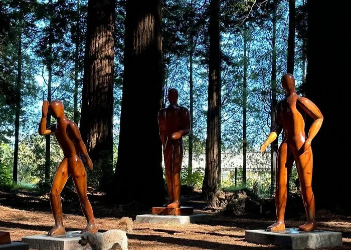 Luxury Redwoods With Heated Pool, Spa, Sauna Rotorua