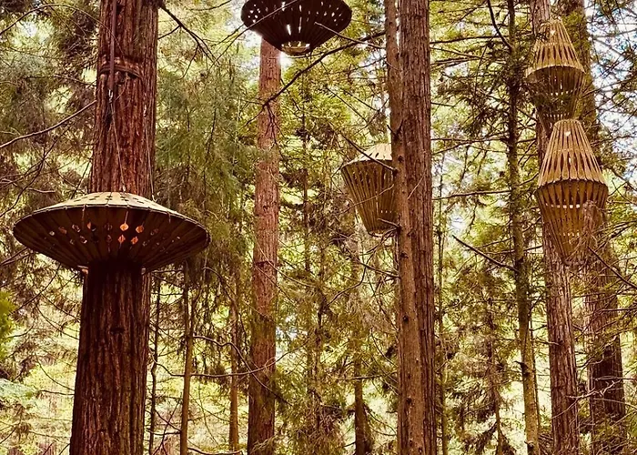 Luxury Redwoods With Heated Pool, Spa, Sauna Villa *